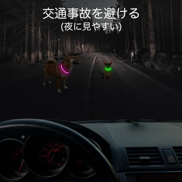 LED付き首輪 光る首輪 USB充電式