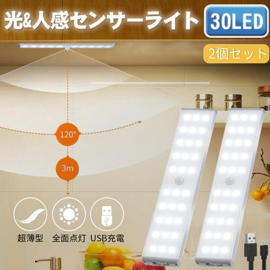人感センサーライト 2個セット 30LED A100