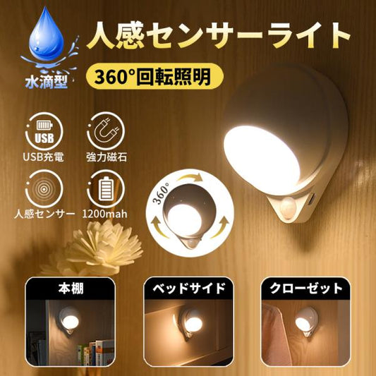 人感センサーライト しずく型 A099
